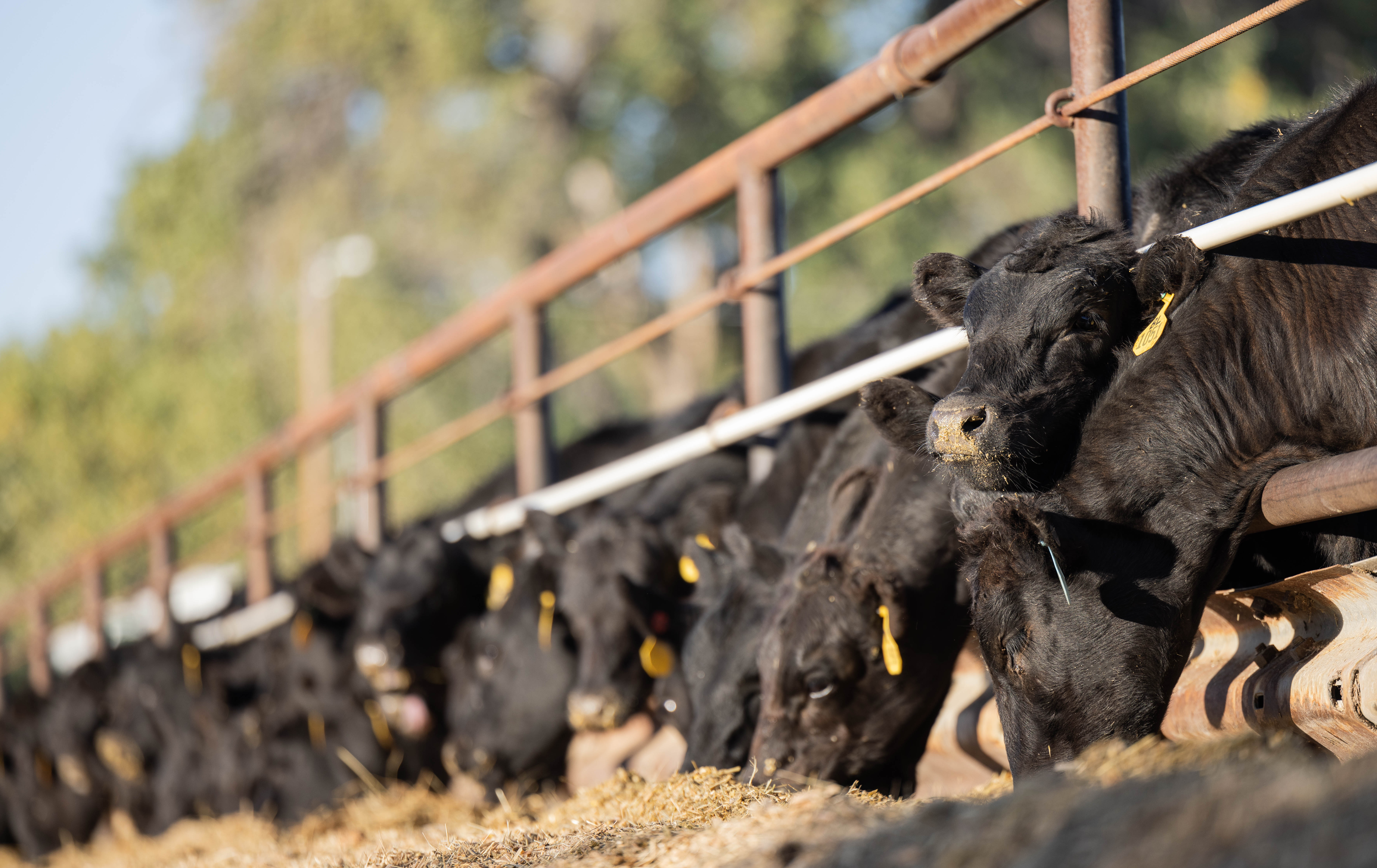 AdobeStock_211473384 (2)