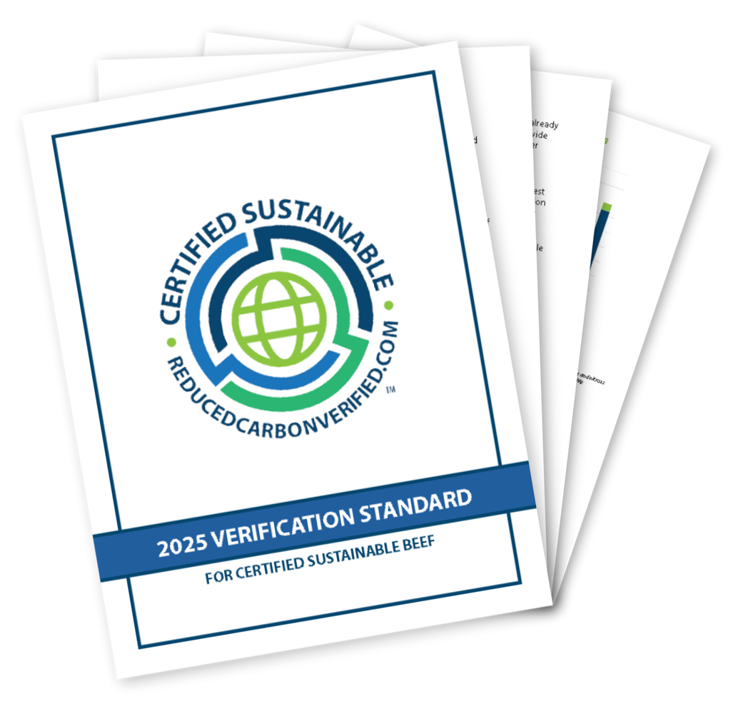 Untitled design (29)